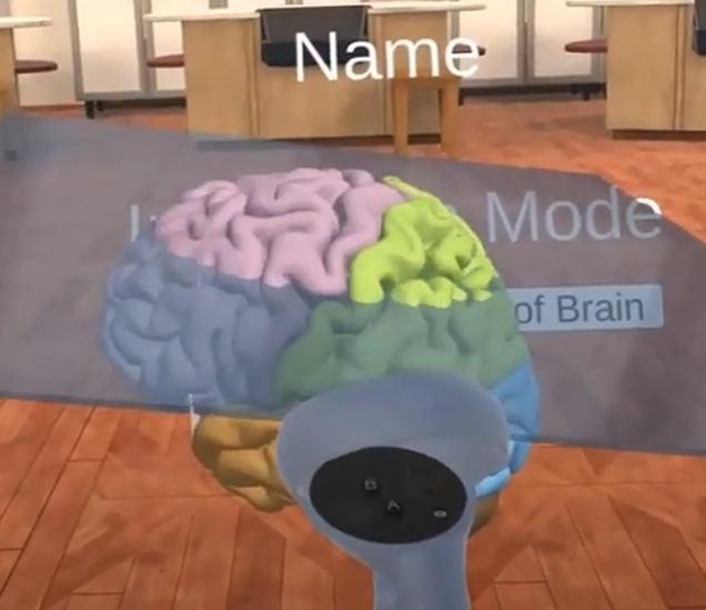 XR Neuroscience